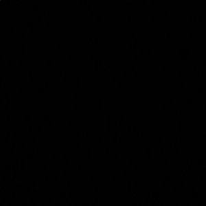 Meet your Posher, Ava